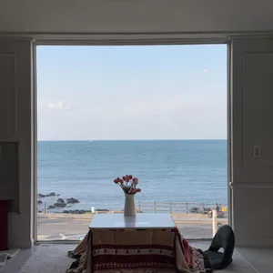 시로코 사진 2