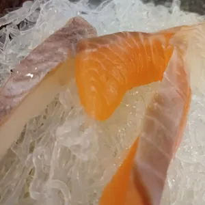동어동락  사진
