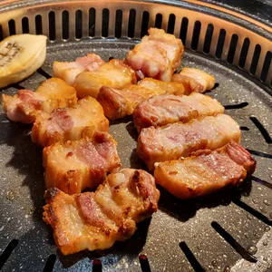 돼나무 사진
