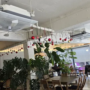 파르테르 리뷰 사진