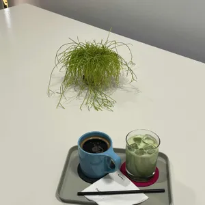 파르케 사진 2