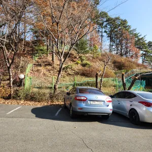봉서산석갈비 리뷰 사진