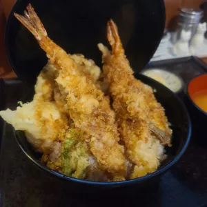 네코정 사진