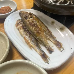 황금소나무 사진