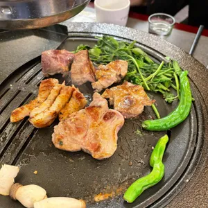 부산갈매기 대표 사진