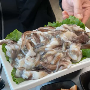 동백회수산 사진