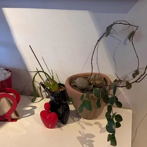 카페 진선 리뷰 사진