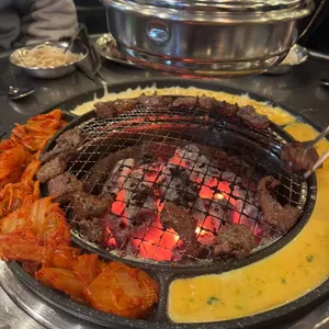 부산갈매기 사진