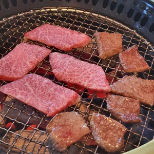 우연지 사진