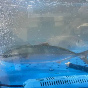 시장회센타 리뷰 사진