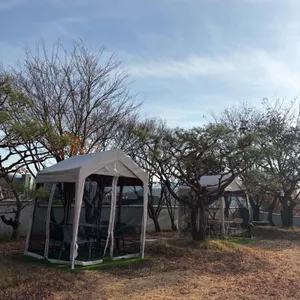 보러 카페 리뷰 사진