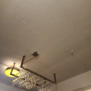 코지 리뷰 사진