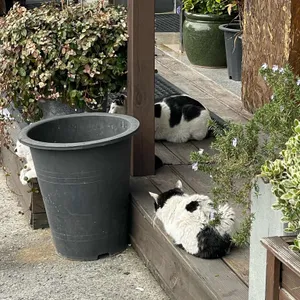 독천골 리뷰 사진