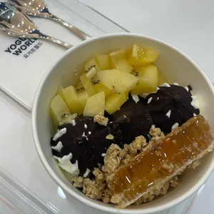 요거트월드 사진