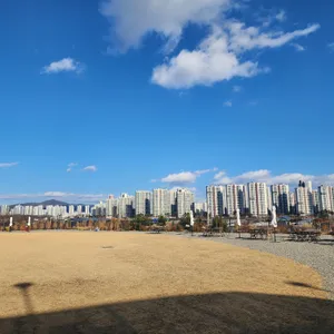 문버드 리뷰 사진