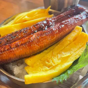쵸쵸 사진
