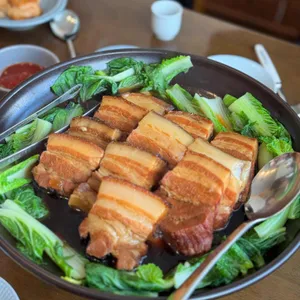 목란 사진