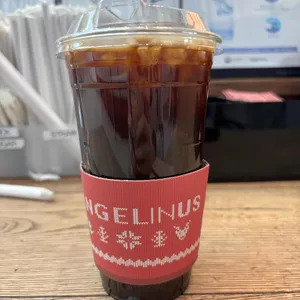 엔제리너스 사진 1