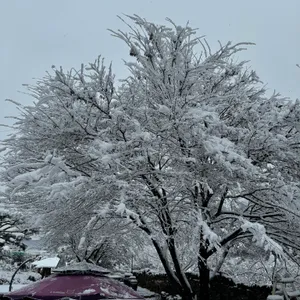 카페 트레져 사진 2