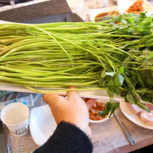 한재 참미나리 리뷰 사진