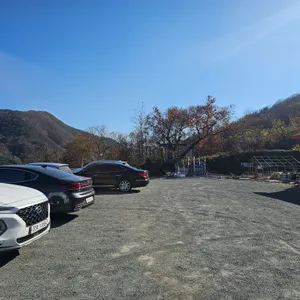 한재 참미나리 리뷰 사진