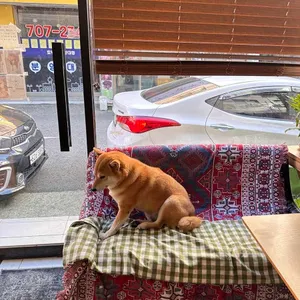 머스타드 리뷰 사진