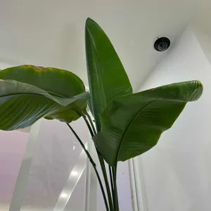 라스베이글 리뷰 사진