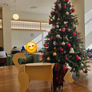 가배도 리뷰 사진