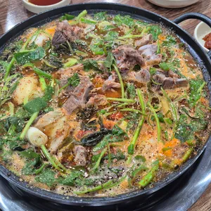 못잊어 사진