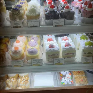 노해 리뷰 사진