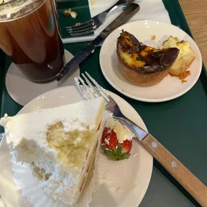 식물학 사진