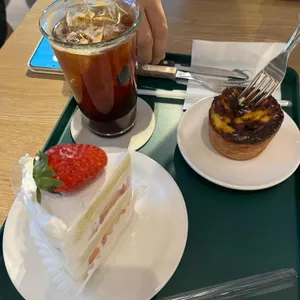 식물학 사진