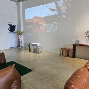 트리슬로우 사진 2