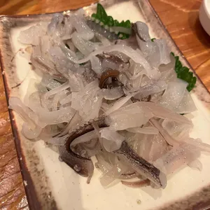 오징어세상 사진