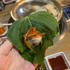 야생골뱅이 사진