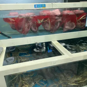 울진참가자미 리뷰 사진