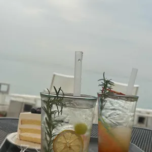 코브나인 사진