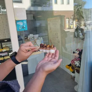 당고네 대표 사진