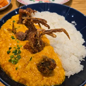 타논55 사진