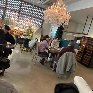 꼬니숑 사진