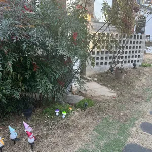 듀블럭 리뷰 사진