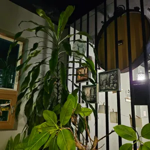 커빙5 리뷰 사진