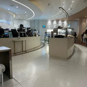 엔제리너스 리뷰 사진