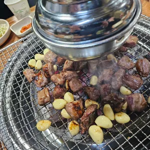 황소고집 사진