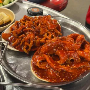 대물곰장어 사진
