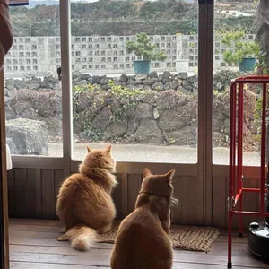 평균이하 리뷰 사진