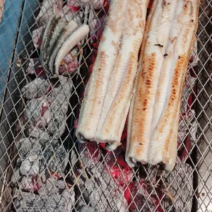 해품장팔팔장어 사진