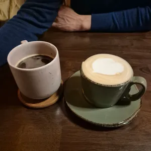 캣냅 사진
