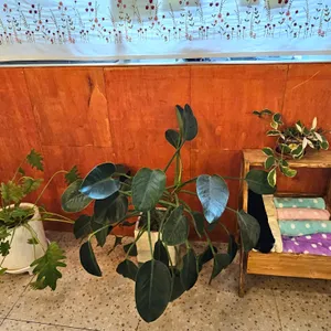 카페버닝 리뷰 사진