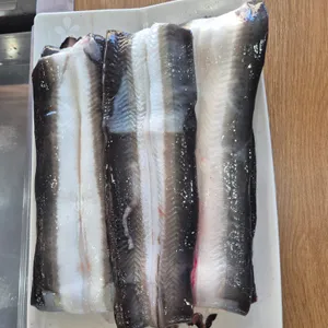 풍천민물장어 사진
